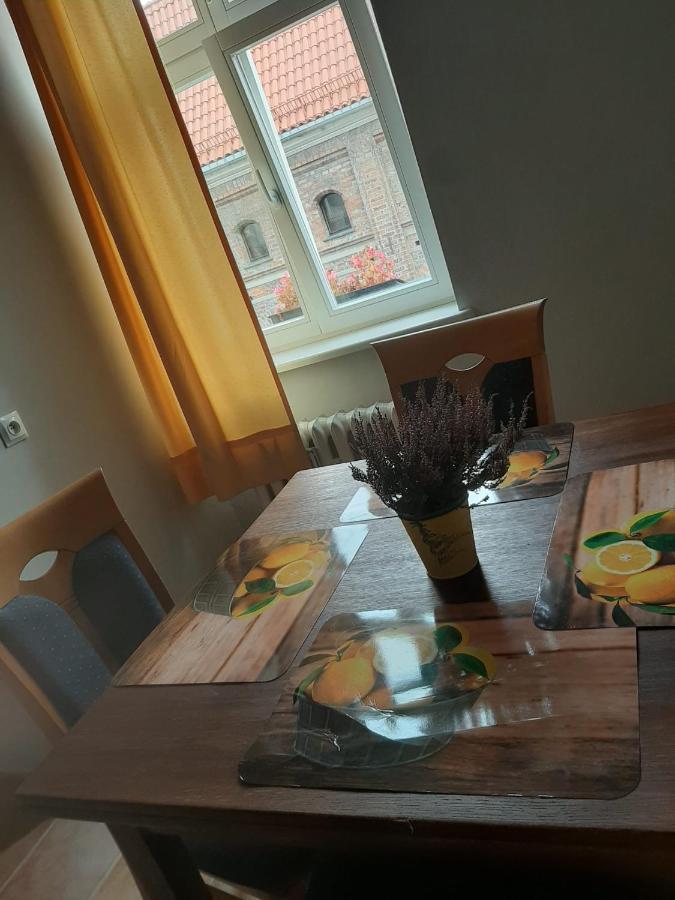 Apartament Koci Leb Торунь Екстер'єр фото